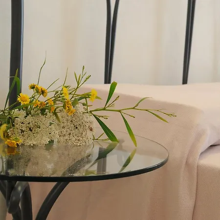 Il Sole Del Genarbi Bed & Breakfast