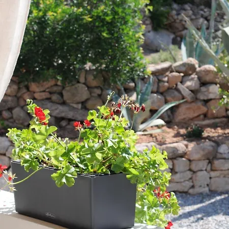Bed & Breakfast Il Sole Del Genarbi 2*